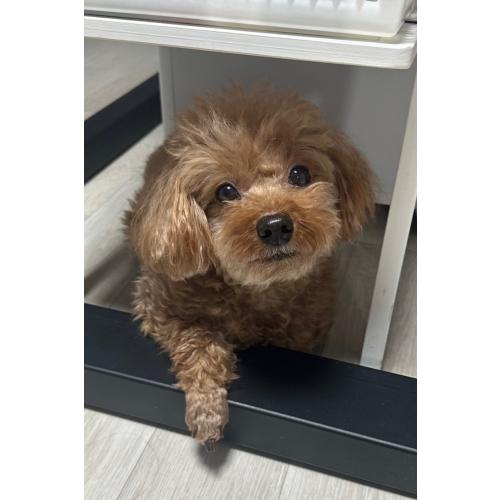 이승준