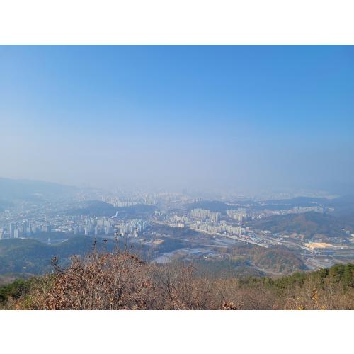 조성현
