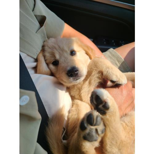 오승훈