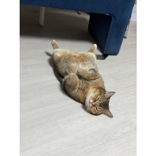 이세영