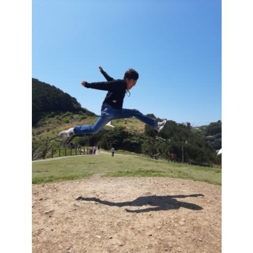 안효일