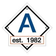 충남대 APEX 팀 로고